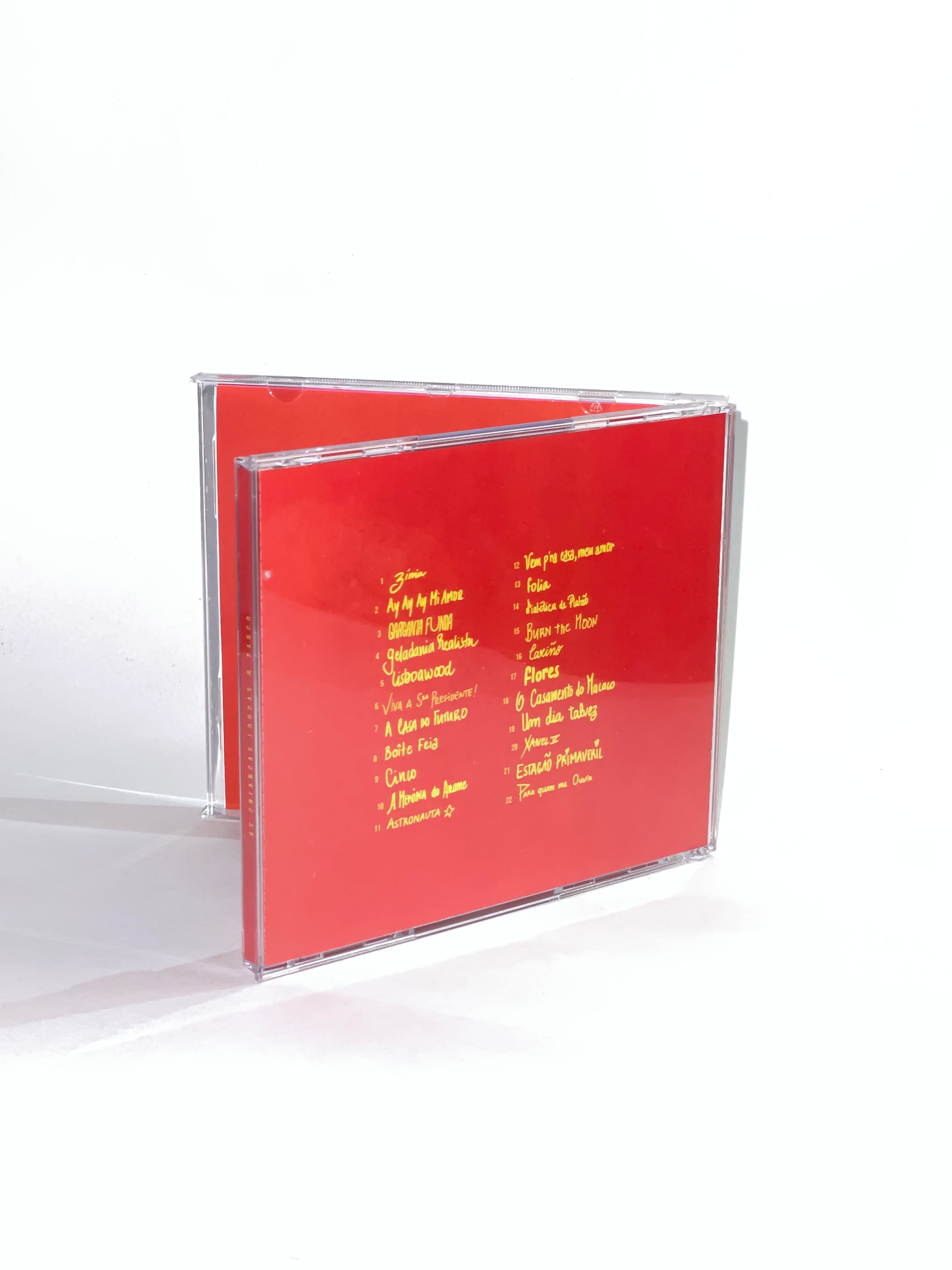 andre-camaleao-booklet-5-criancas-loucas.jpg