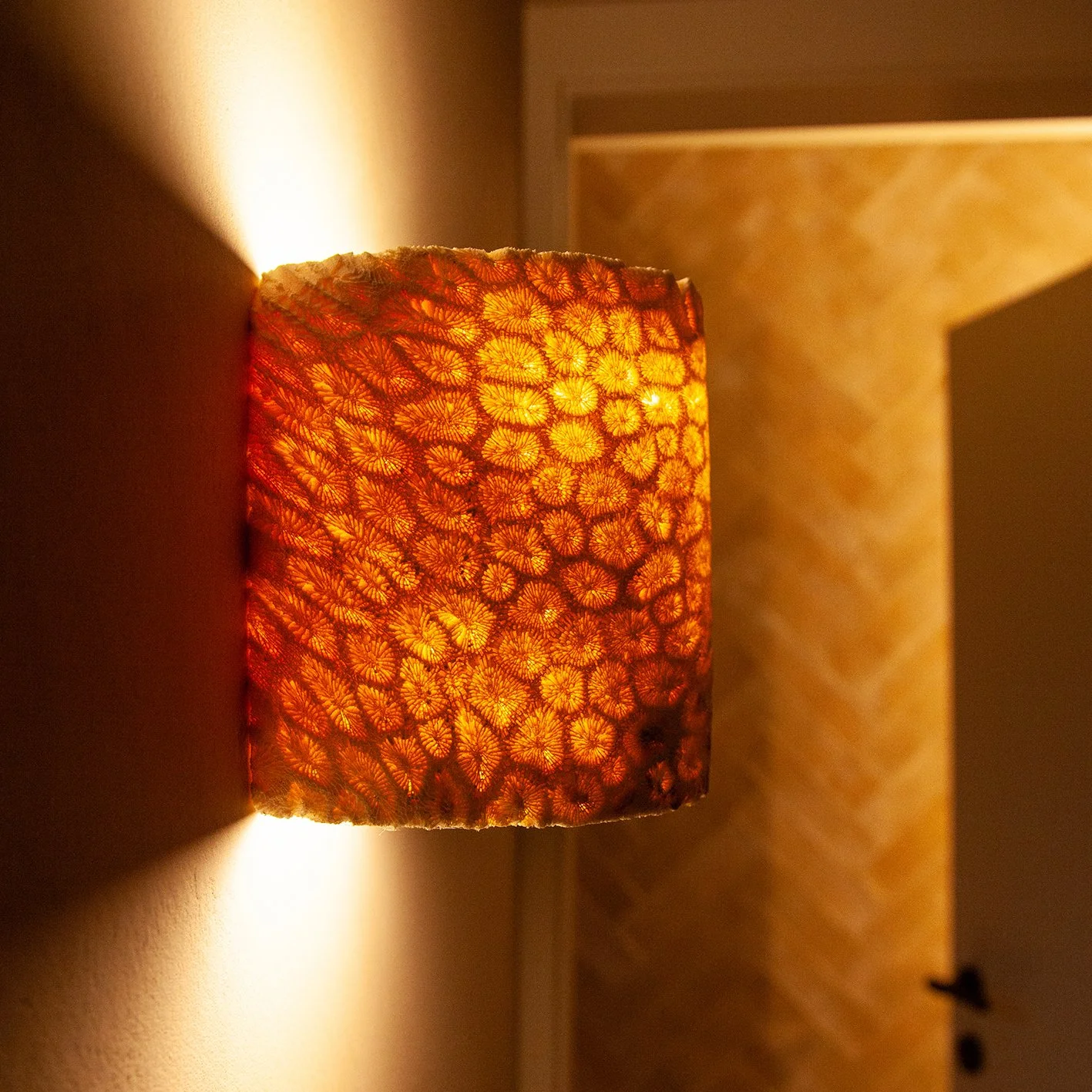 FLUSH-TUBE_L_6__SQ.jpg