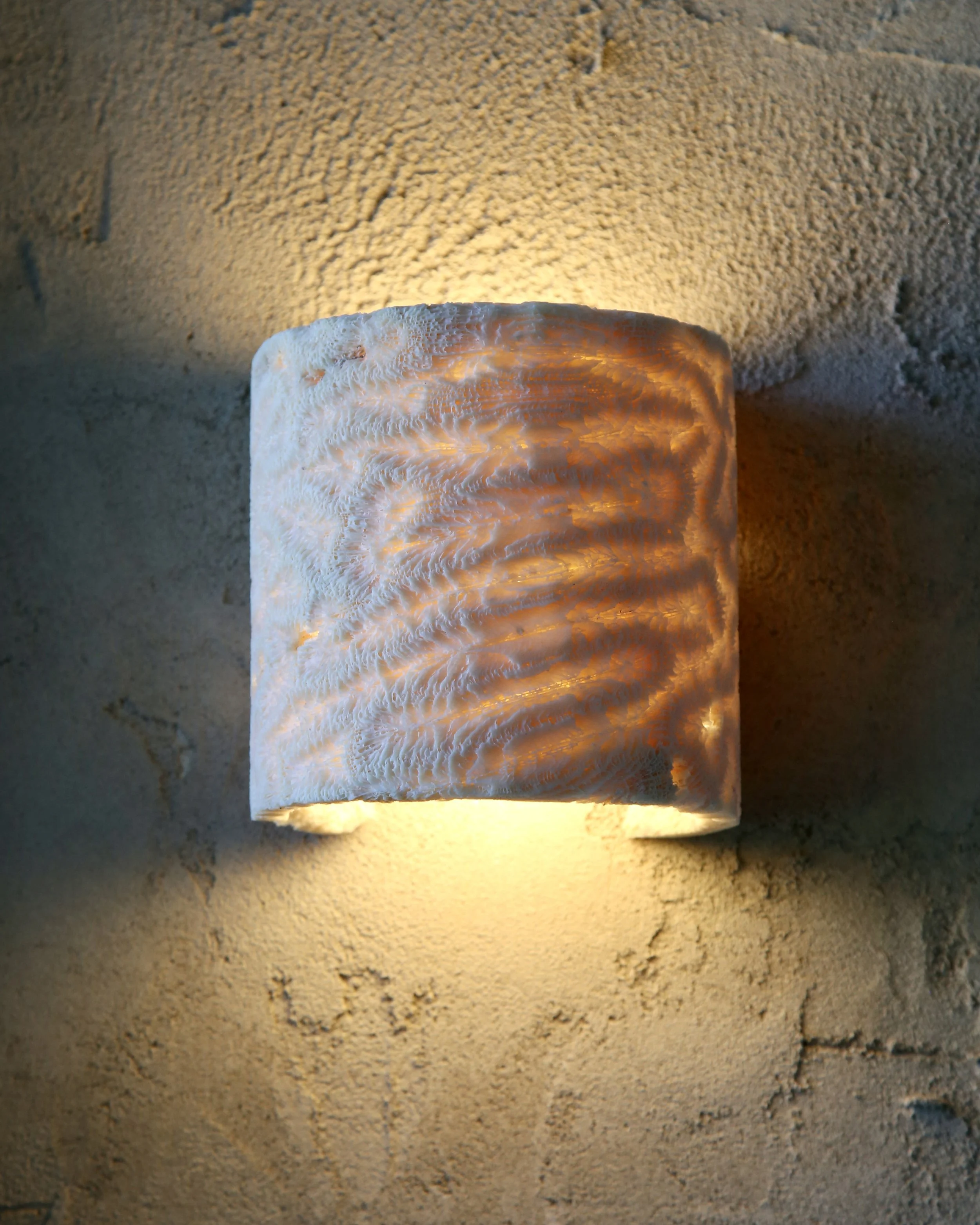 FLUSH-TUBE_L_2.jpg