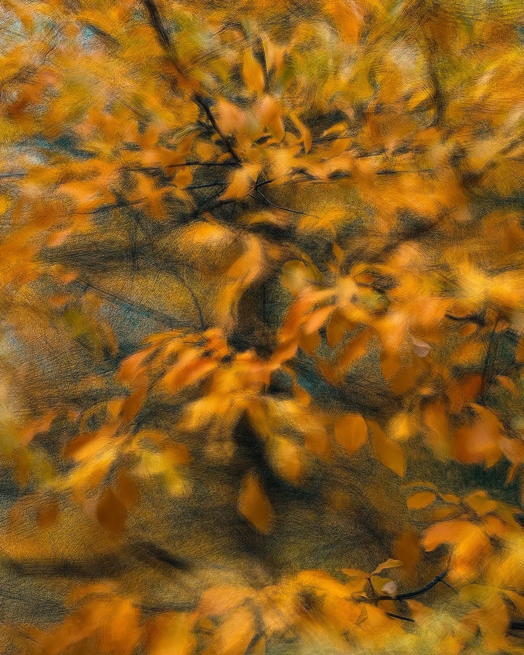 Autumn Impressions. Iterative Photographic Print.