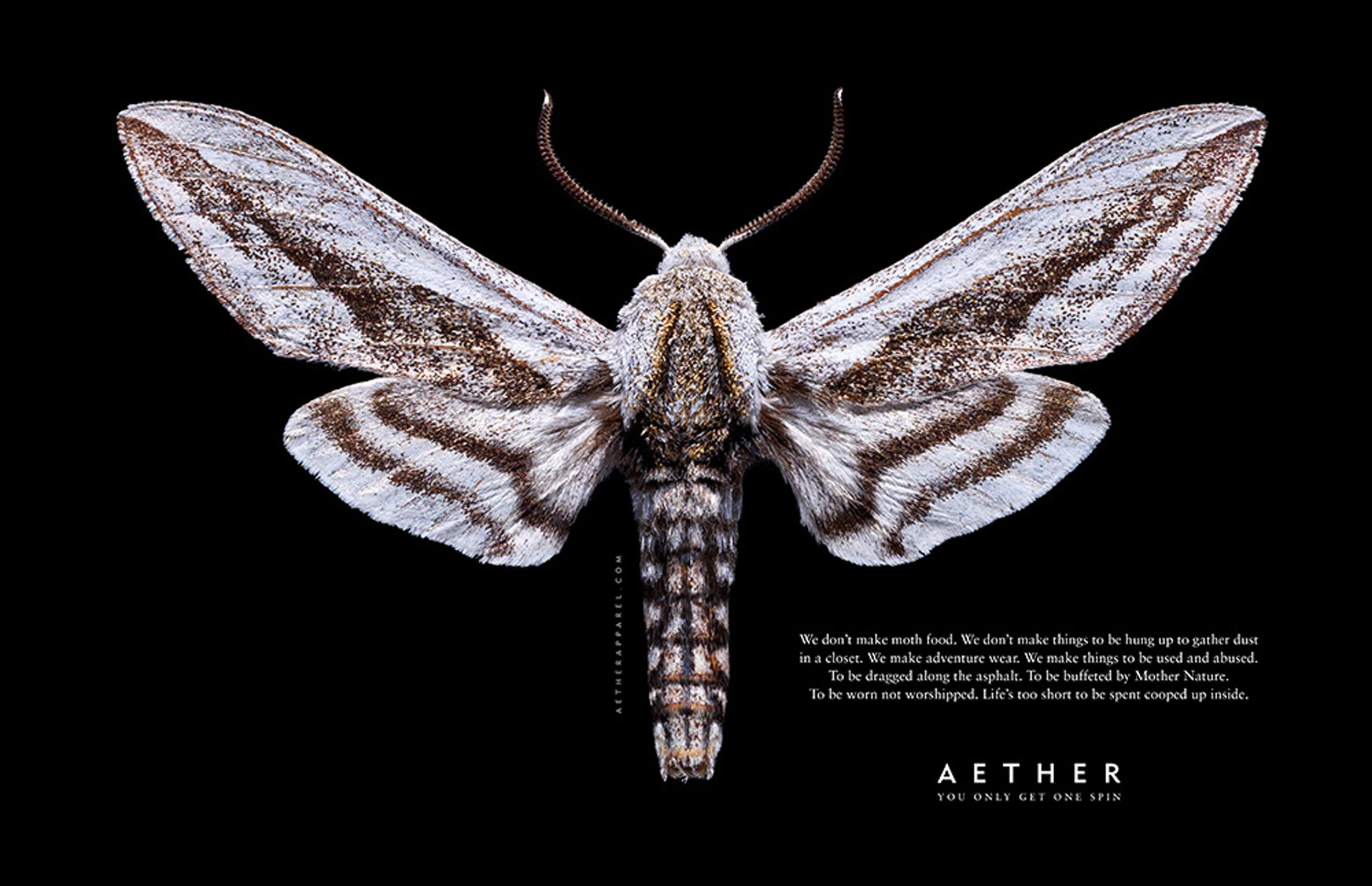 AETHER_AFAR_16.75x10.8125_Brand_FINAL.jpg