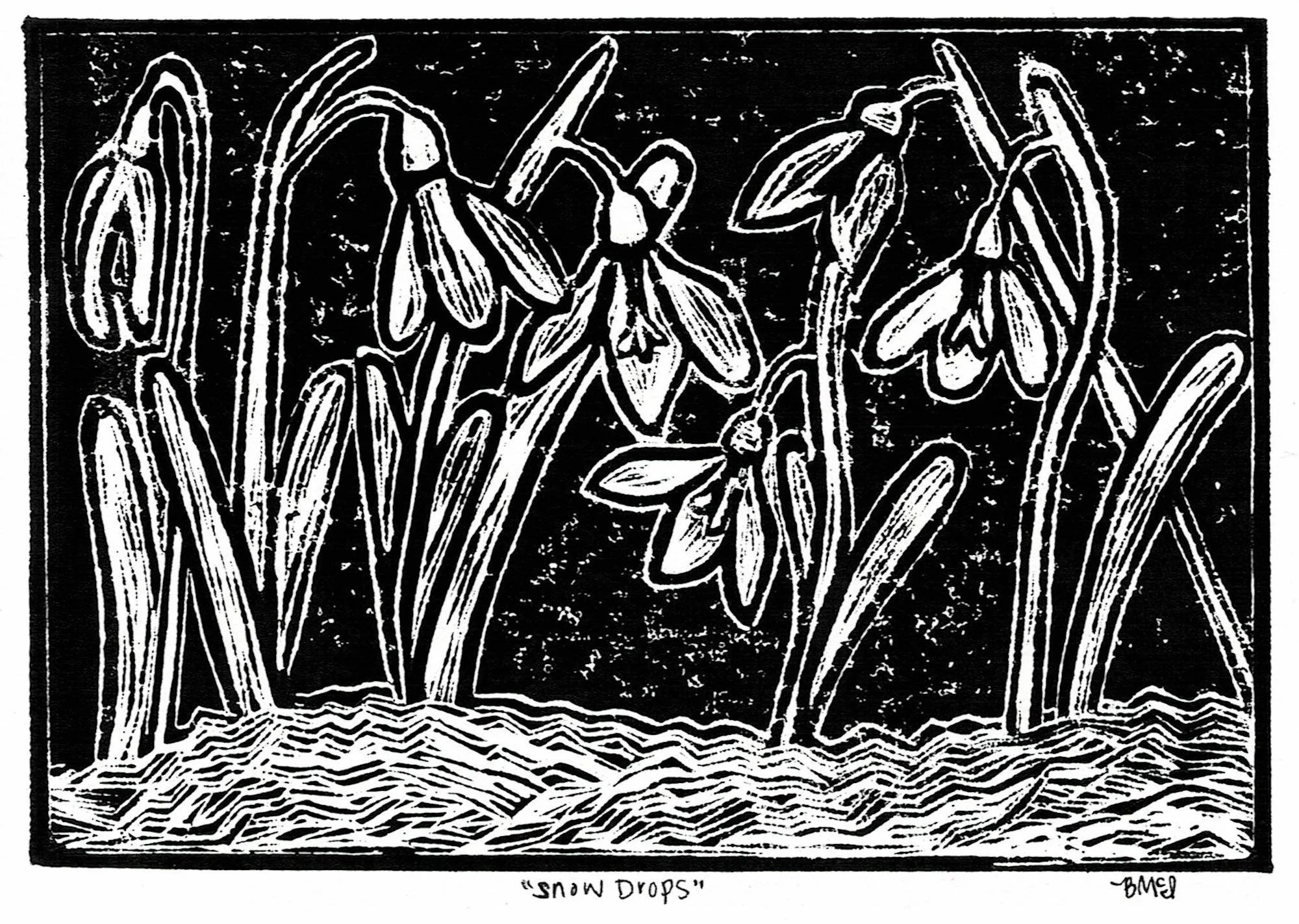 Snowdrops.jpg
