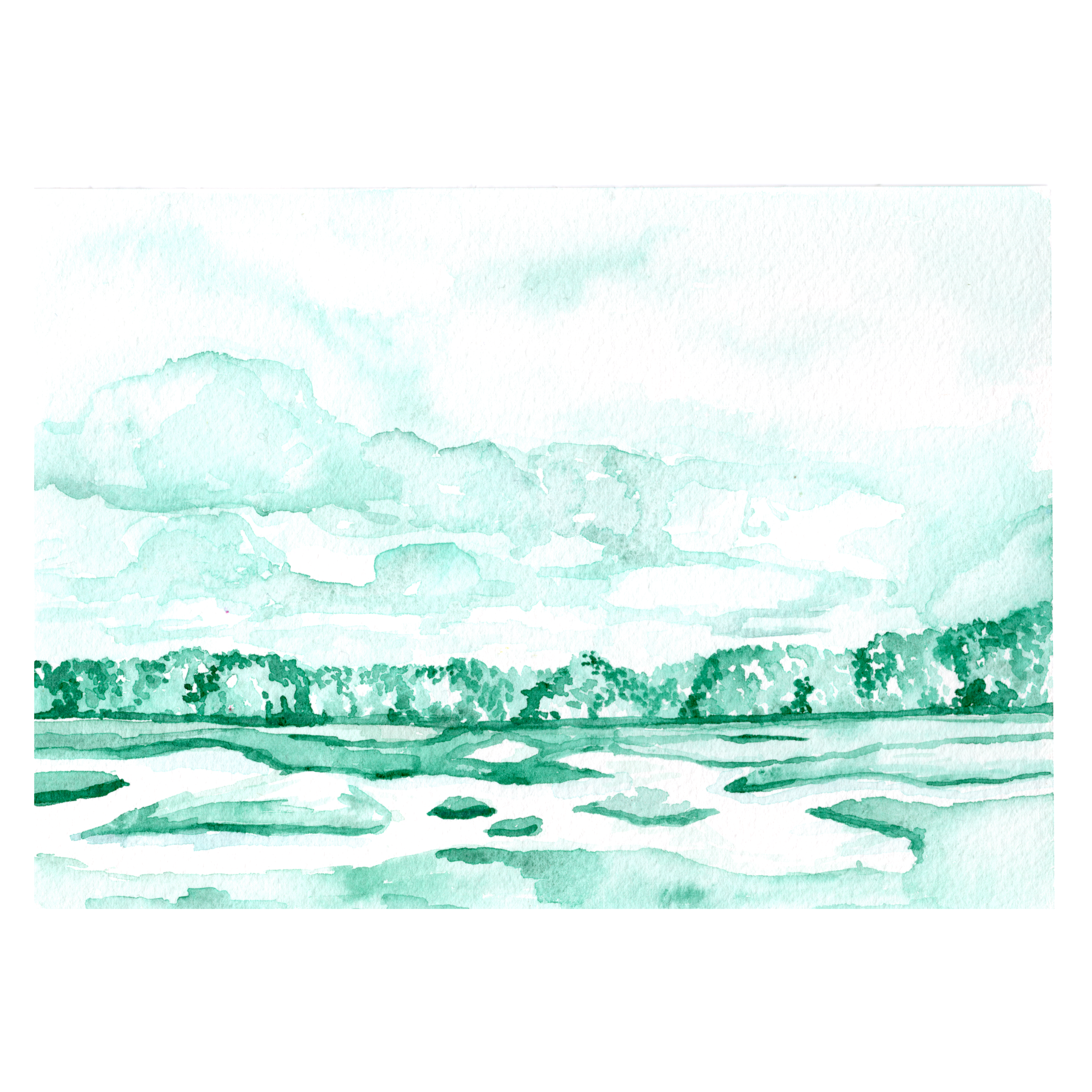 Green Marsh