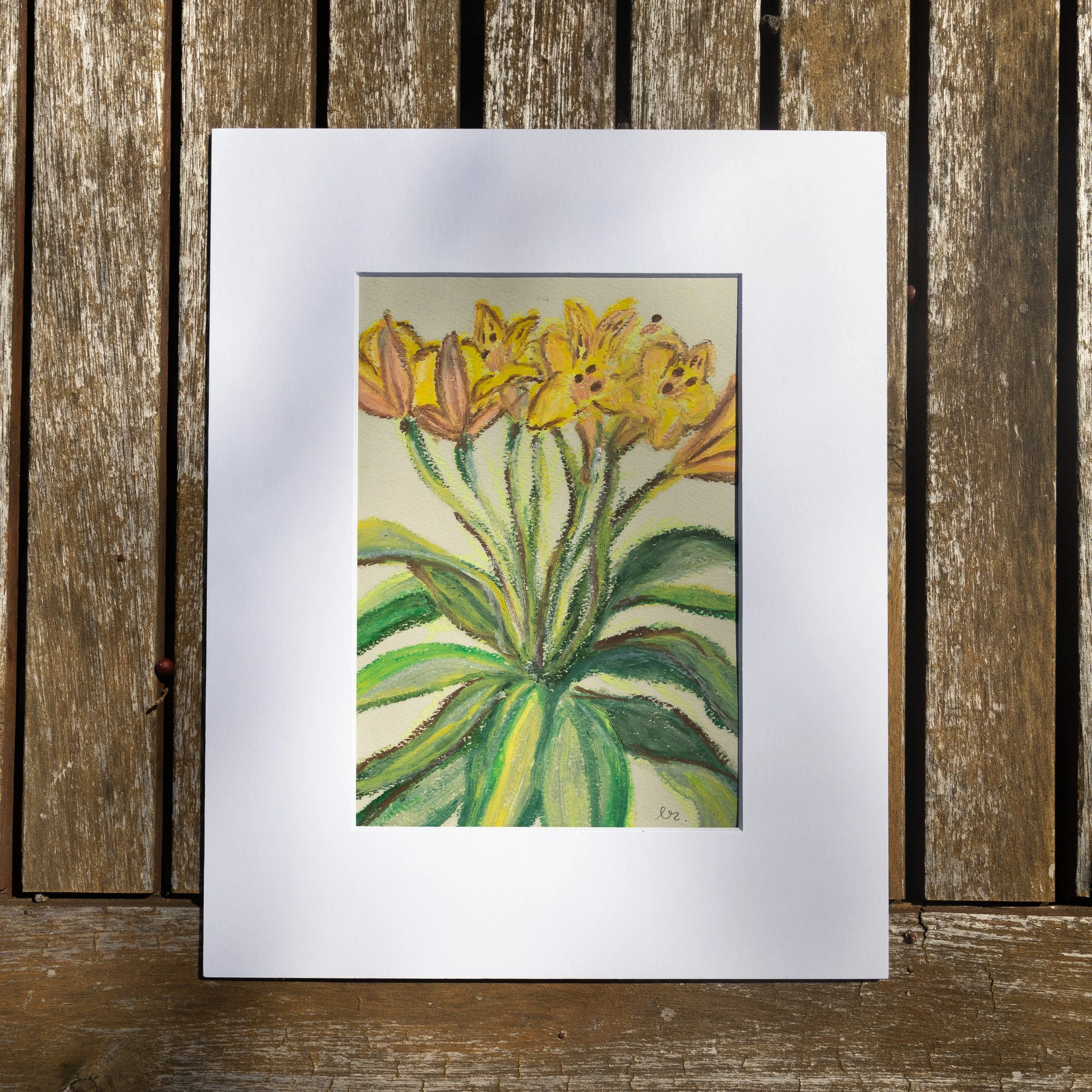 Flower Study – No. 2