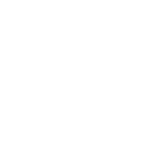 Shakti Sisters