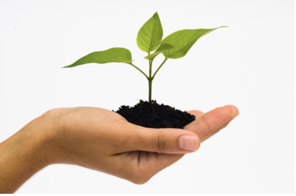 HELPING OTHERS TO GROW