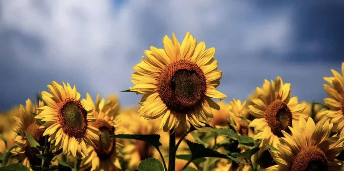 BE KIND TO YOURSELF WHEN JOB SEARCHING