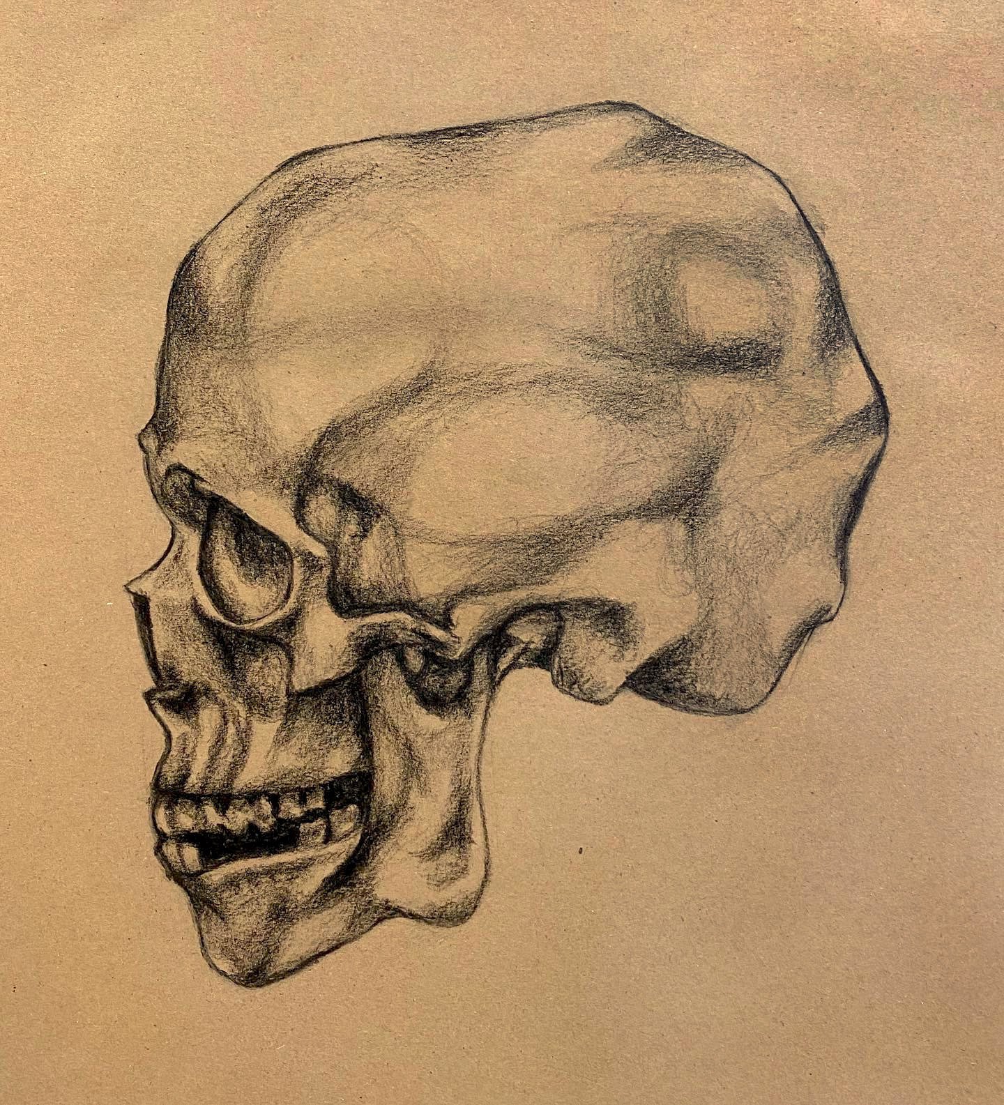 Observational drawing, Charcoal
