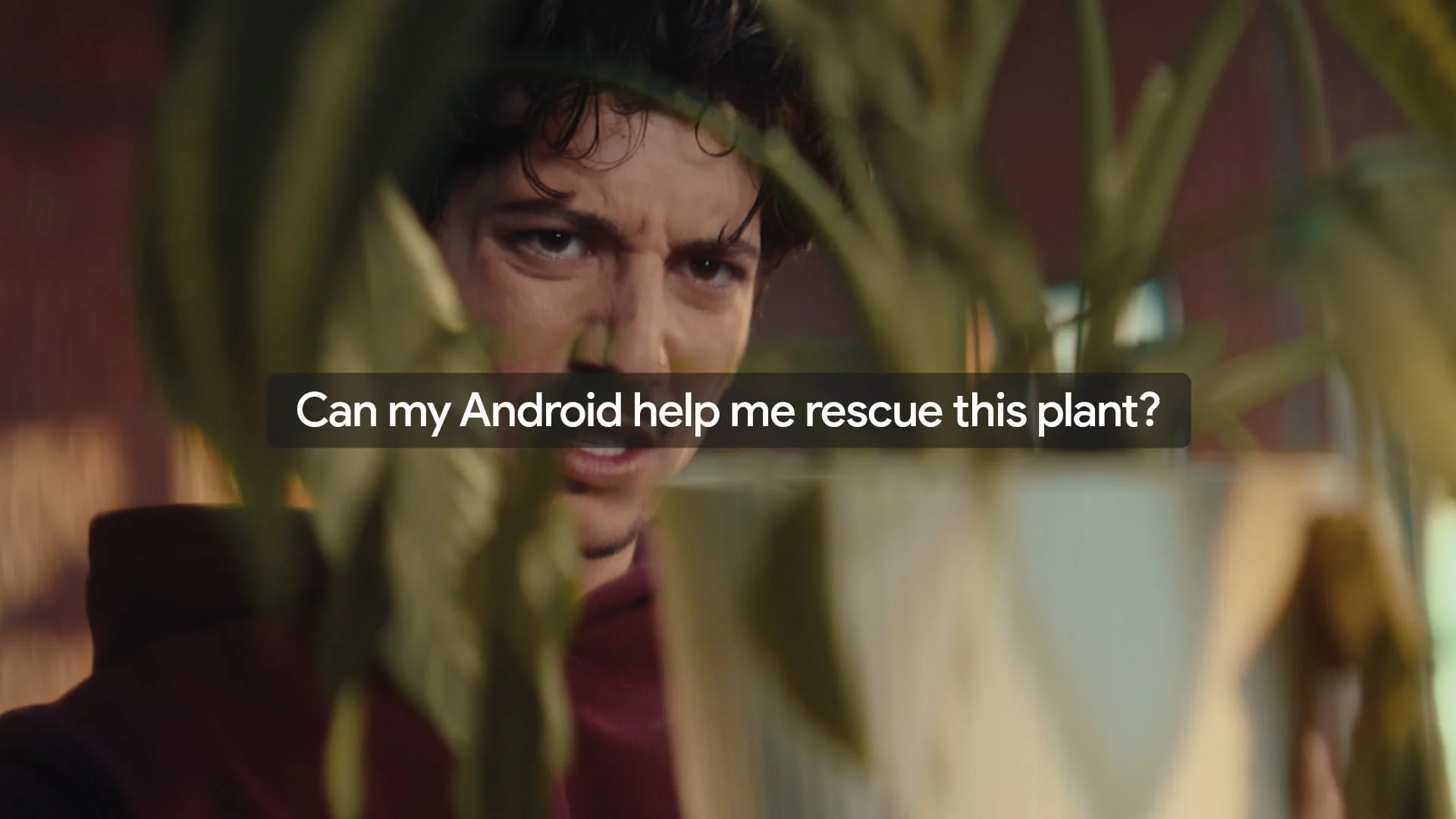Google × Android