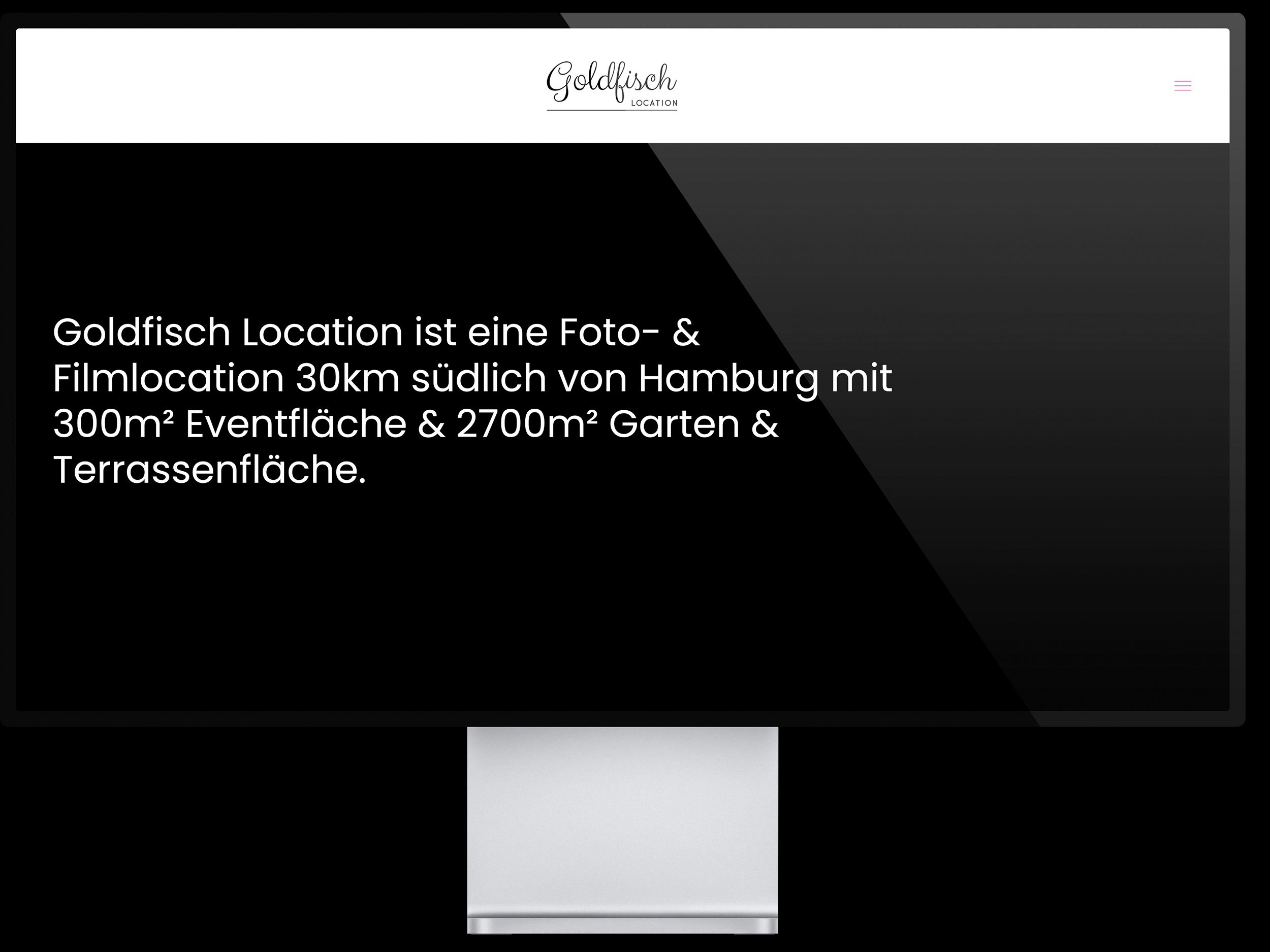 Marc-Perino_Web-Design_Goldfisch-Location_Pro-Display-XDR_001.jpg