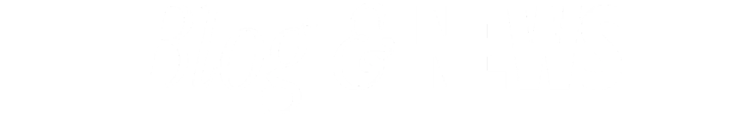 Blog & News