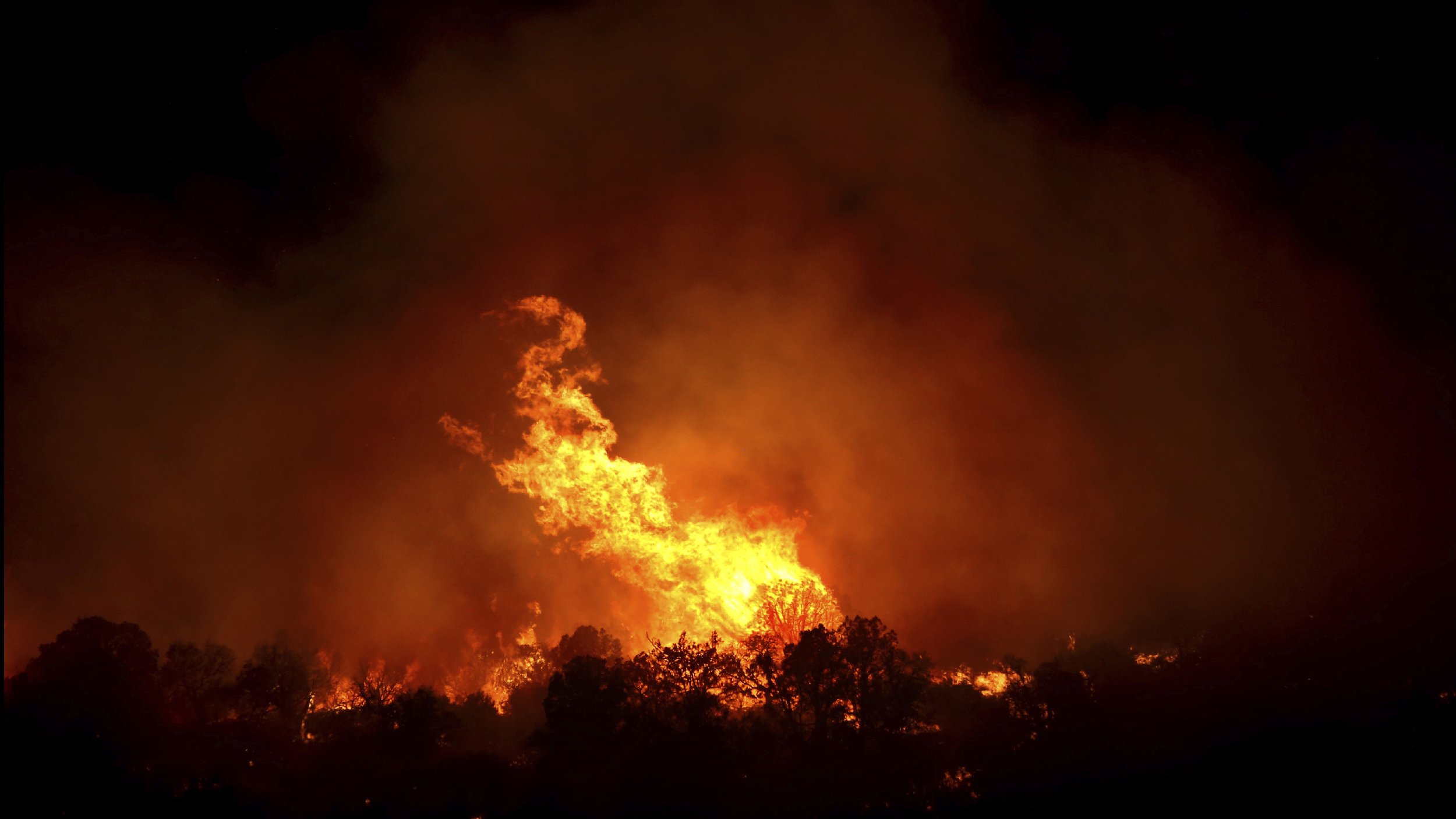 Wildfire_2500.jpg