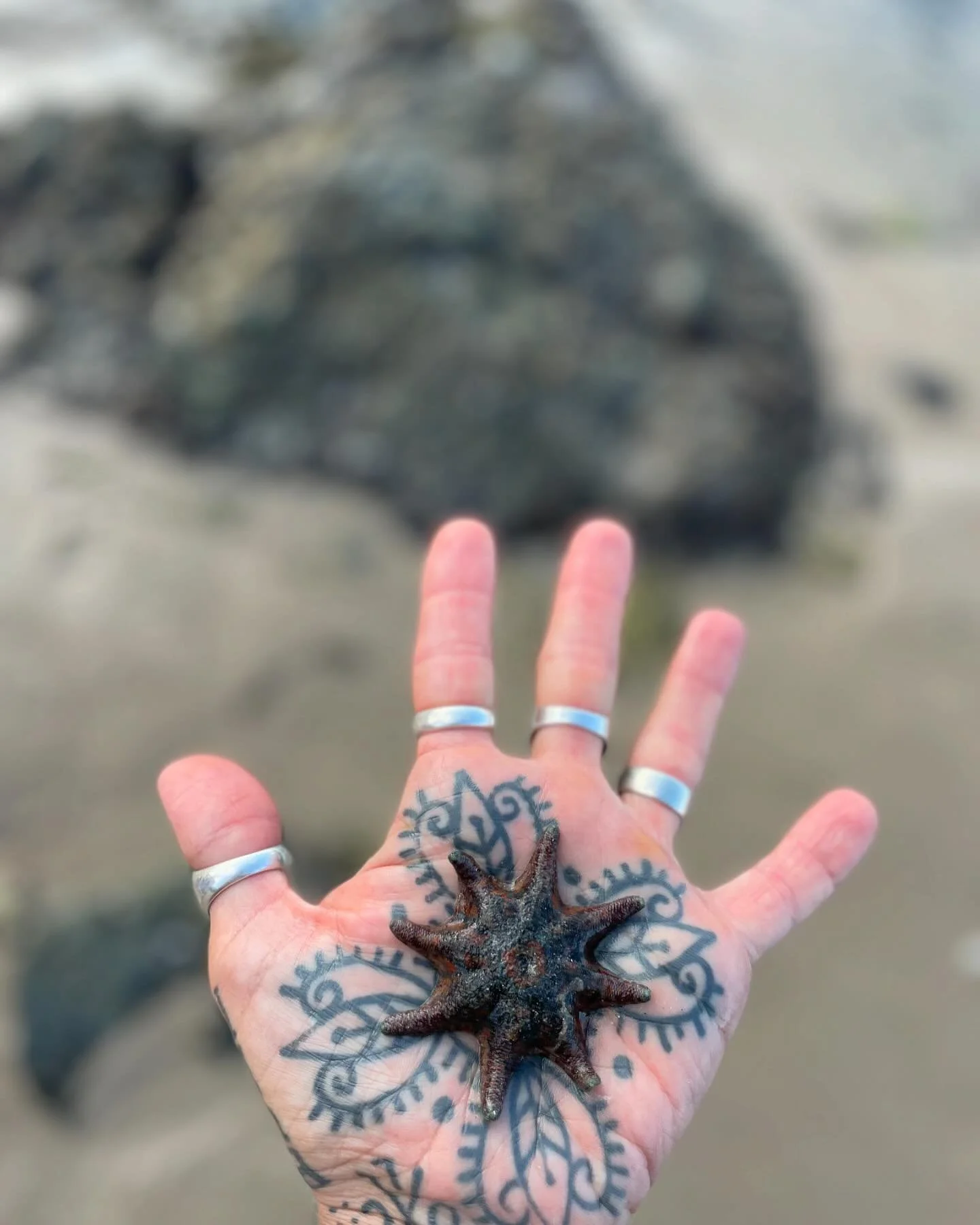 Found an amazing little guy at the beach today! Never seen starfish in the wild! 

Also, my knee is mega swollen after yesterdays stack! Broke!? Maybe!? A solid day all round. 

@gunga_ma #tattoos #starfish #ocean #tattoos #busted #swollen