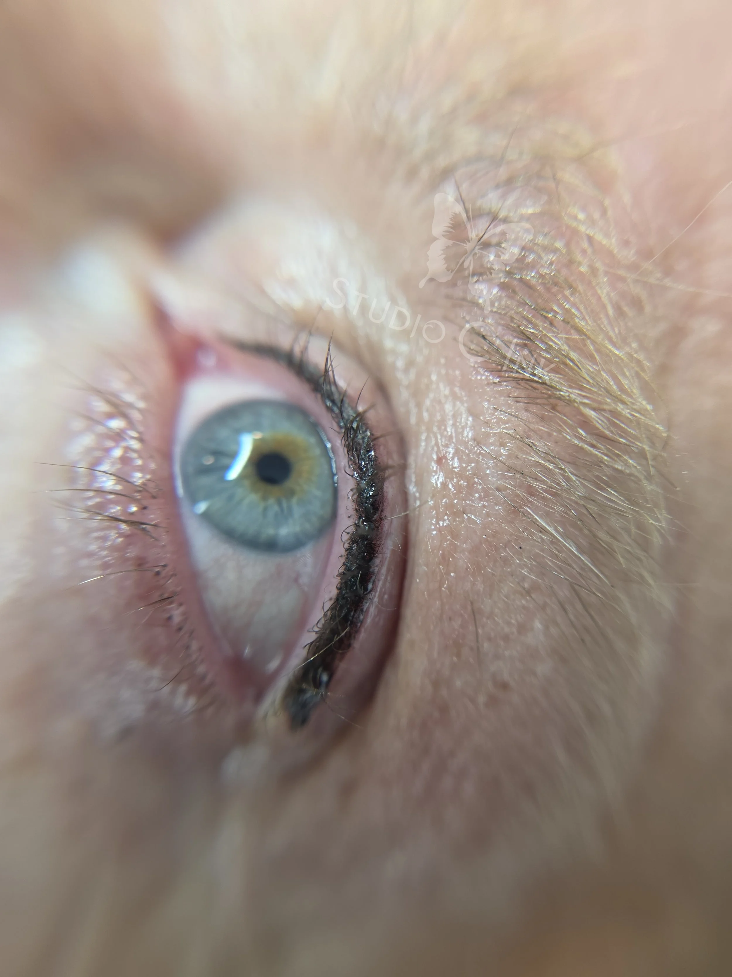 Permanent Eyeliner