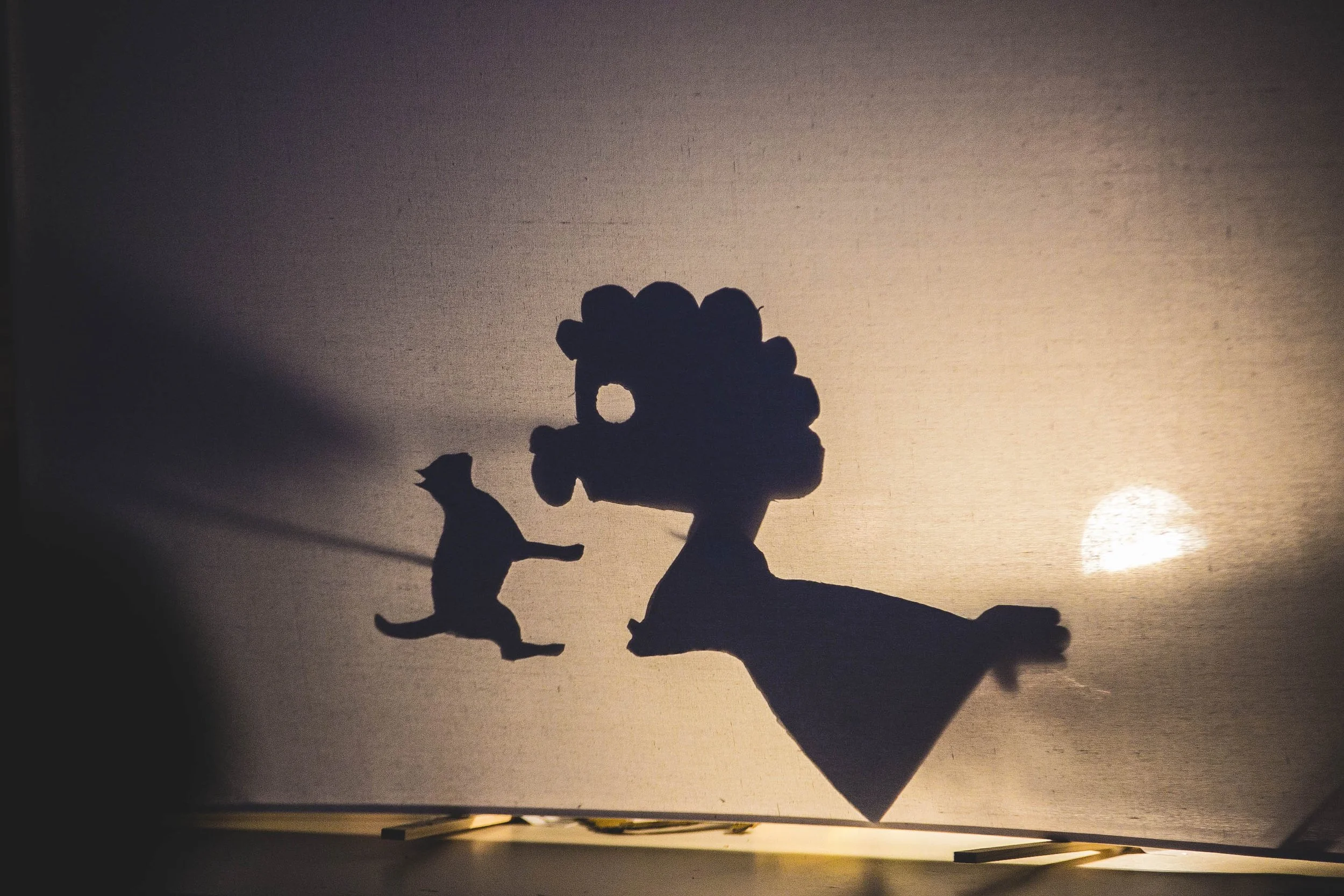 IN PERSON Storytelling Through Shadow Puppetry August 14 Access 