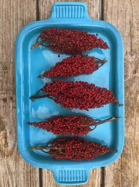 Navajo Traditional Foods Pop-Up Distribution