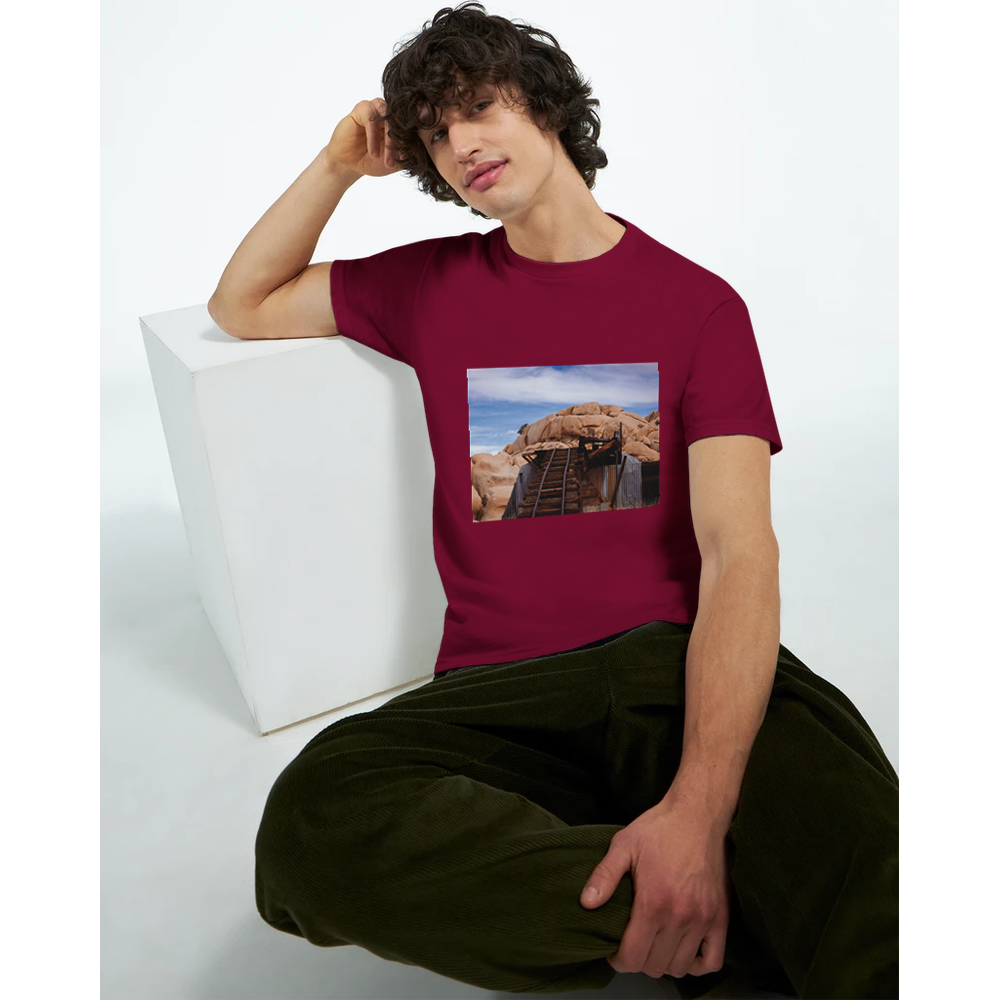 Tracks to the Past: 8x10 Print, T-Shirt or Greeting Card Pack