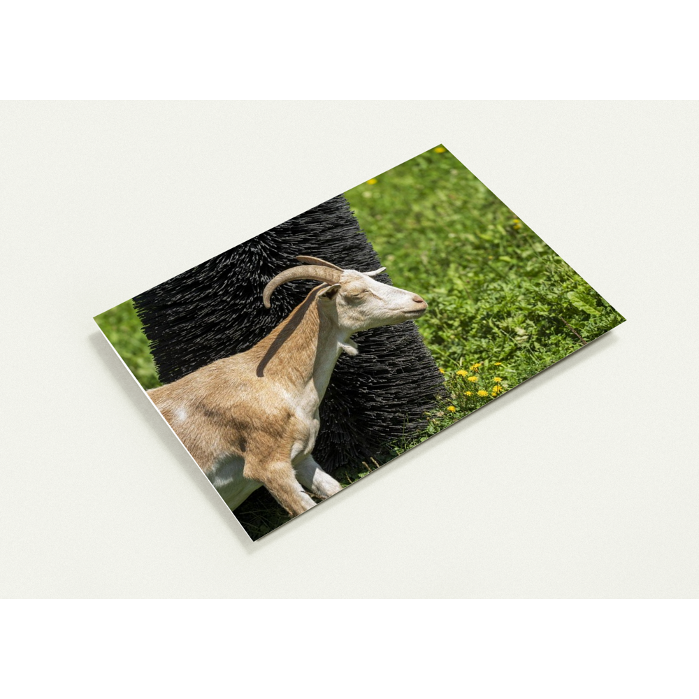 63d66cc3-4f98-40f8-8b0a-17238bb46598.png