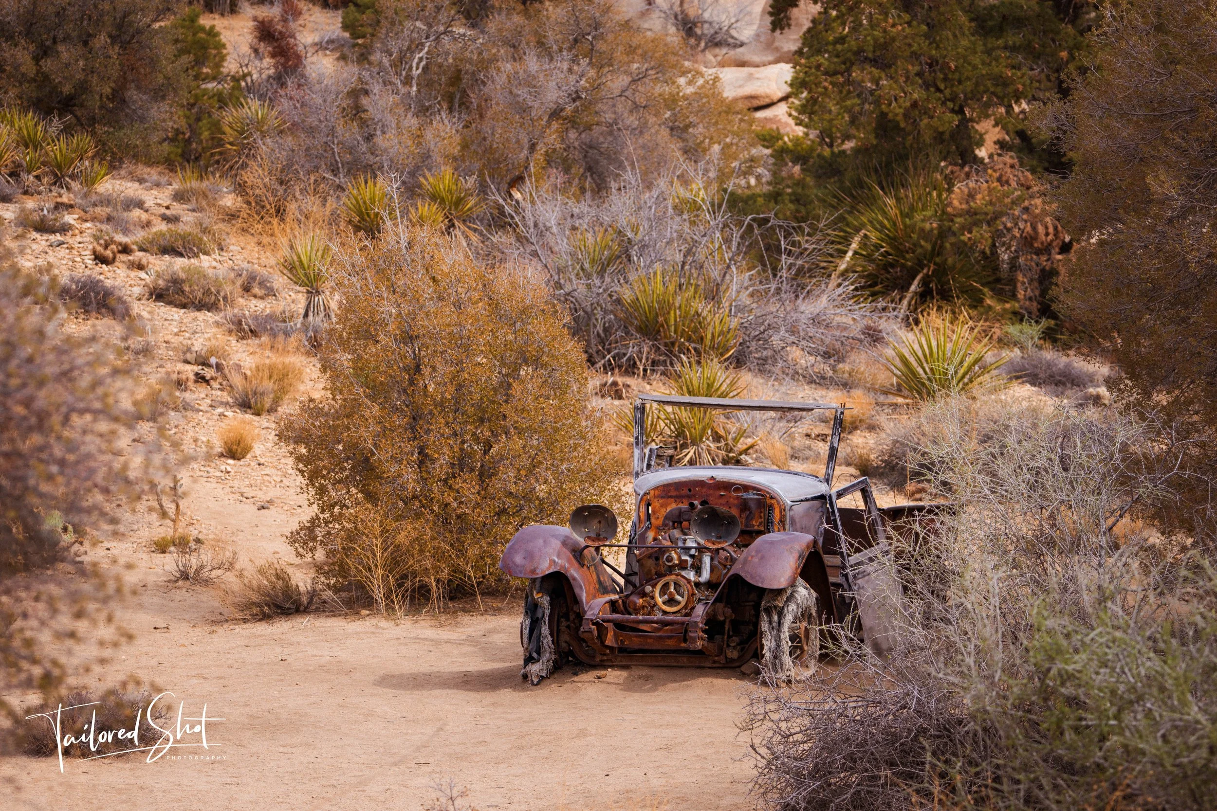 Human Artifacts Series