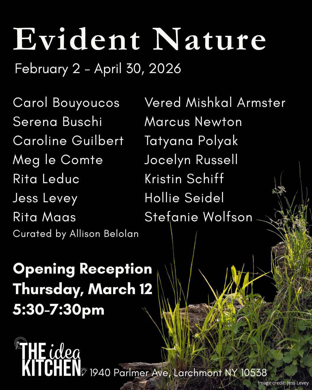 Evident Nature Artists’ Reception