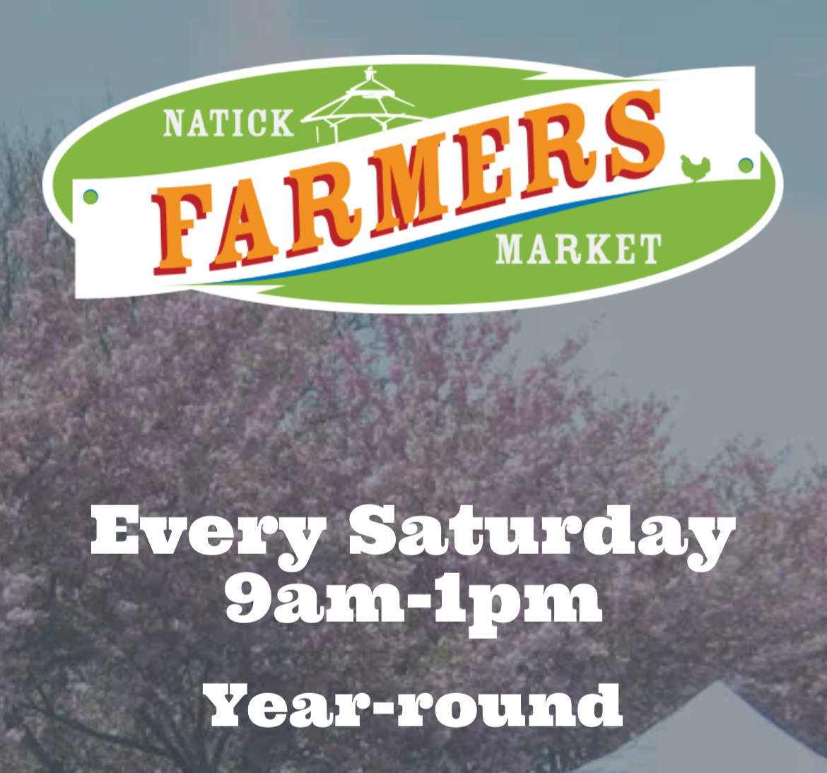 Natick Farmers Market