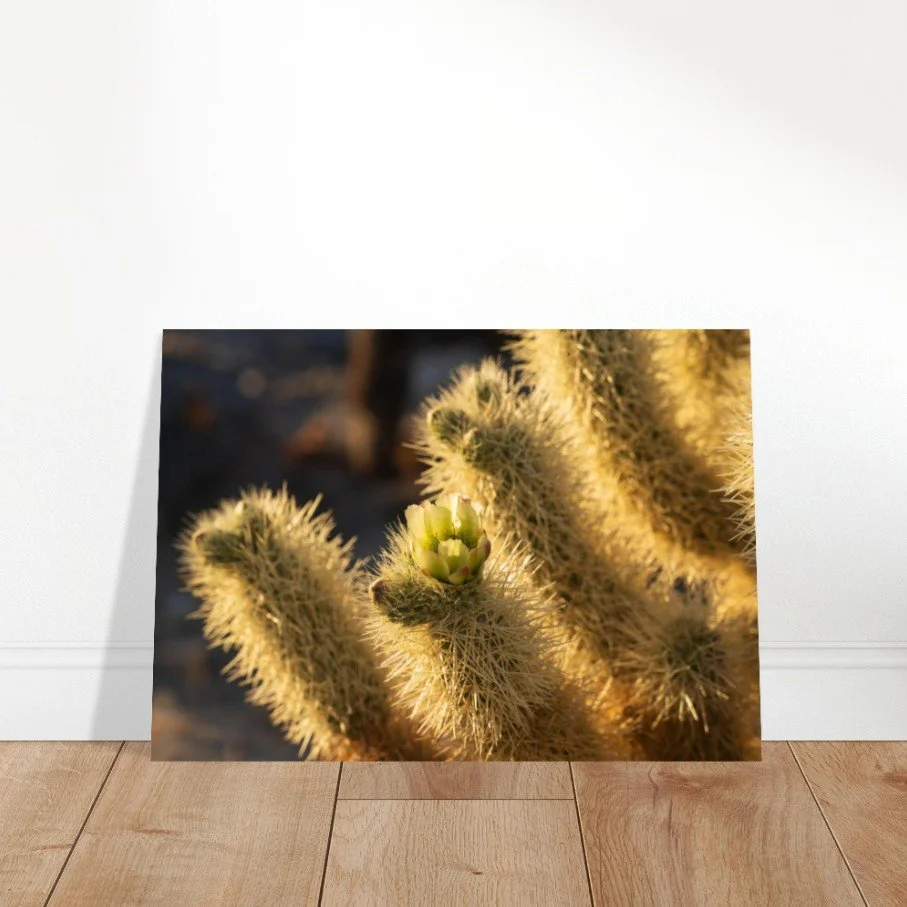 Screenshot 2026-04-07 150832.jpg