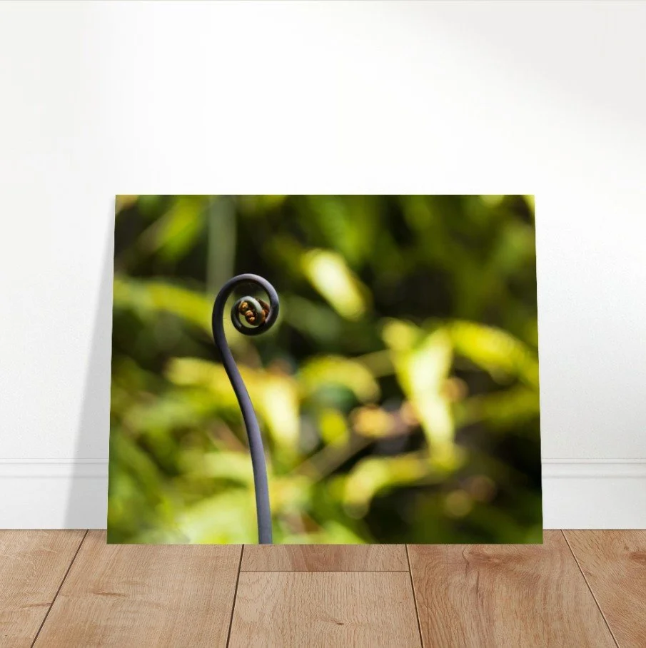 Screenshot 2026-04-07 124135.jpg