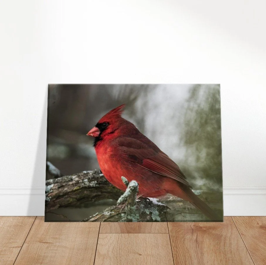 Screenshot 2026-04-07 150454.jpg