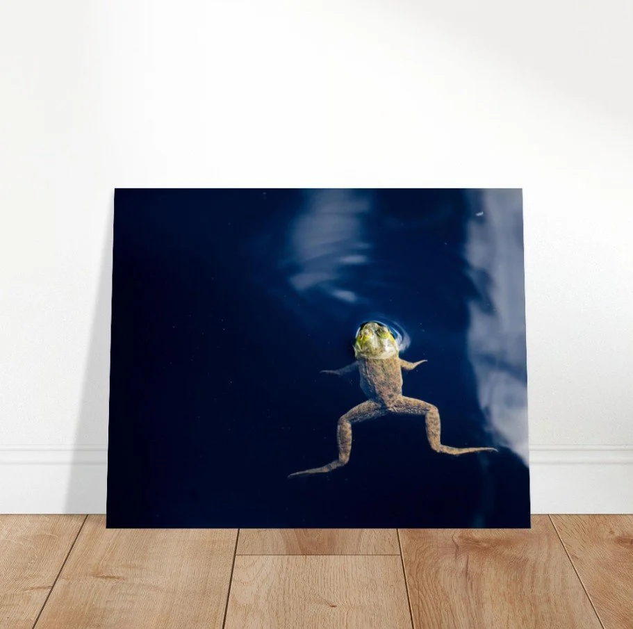 Screenshot 2026-04-07 123005.jpg