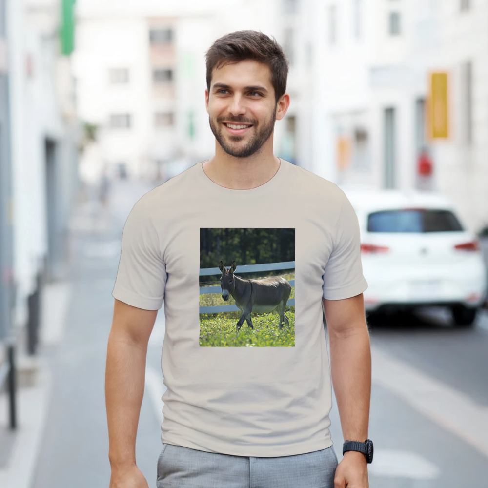 Sunlit Donkey: 5x7 Print, T-Shirt or Greeting Card Pack
