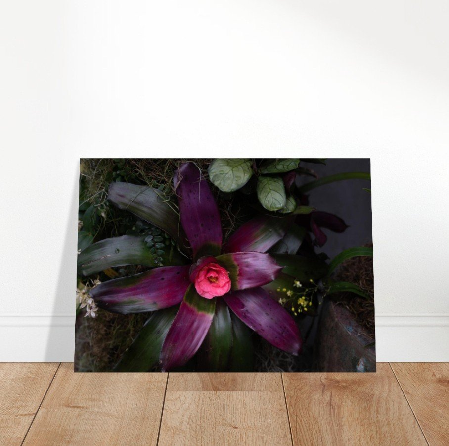 Screenshot 2026-04-07 123327.jpg