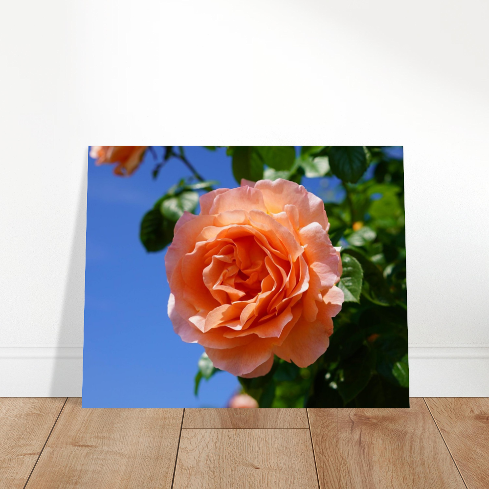 3d26539f-d223-4da0-968f-9318f2fca9ea.png