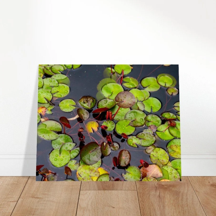 Screenshot 2026-04-07 150216.jpg