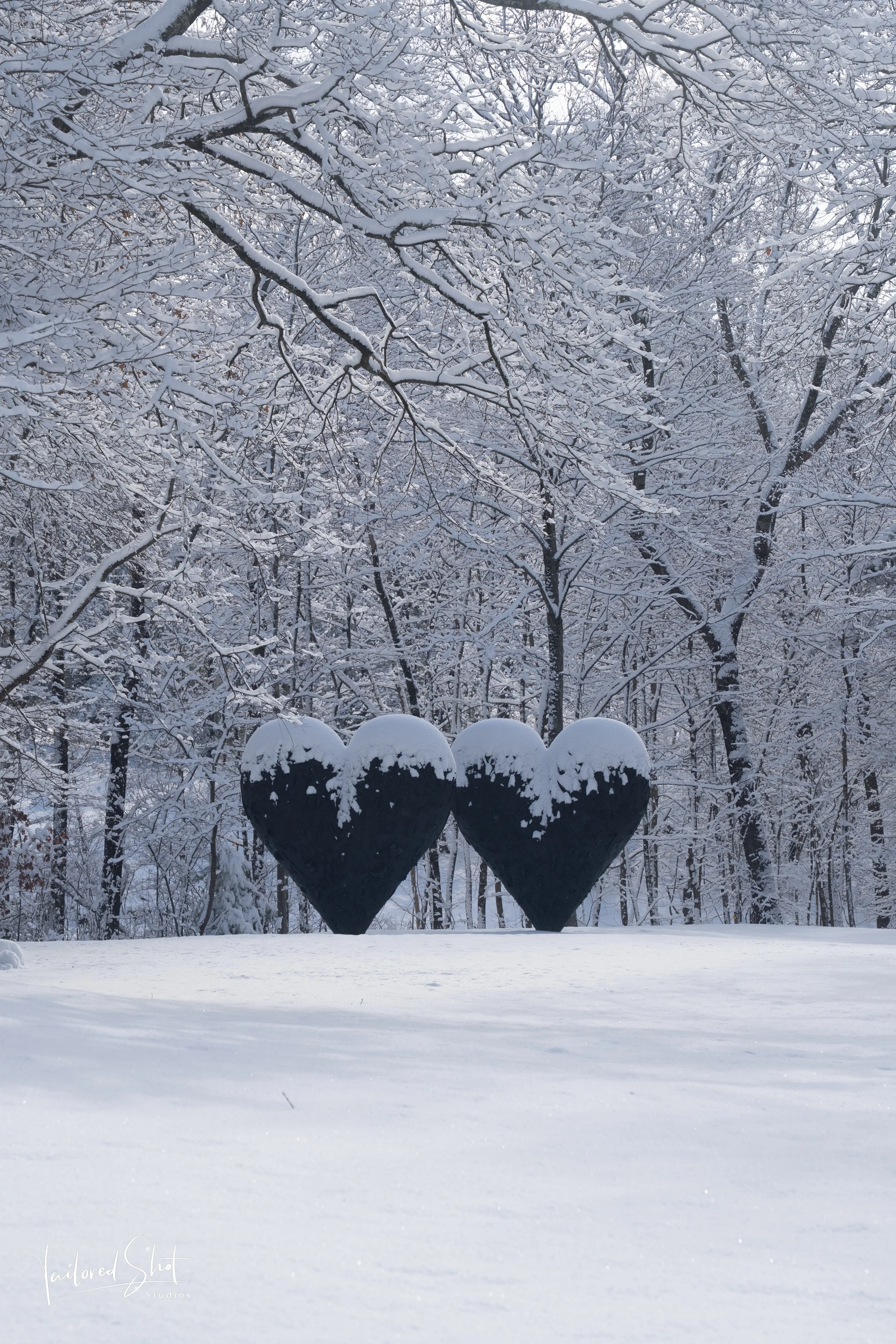 Winter Hearts #2