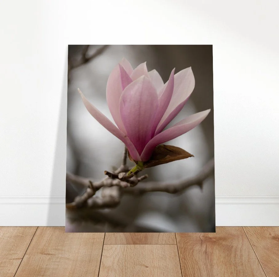 Screenshot 2026-04-07 123856.jpg