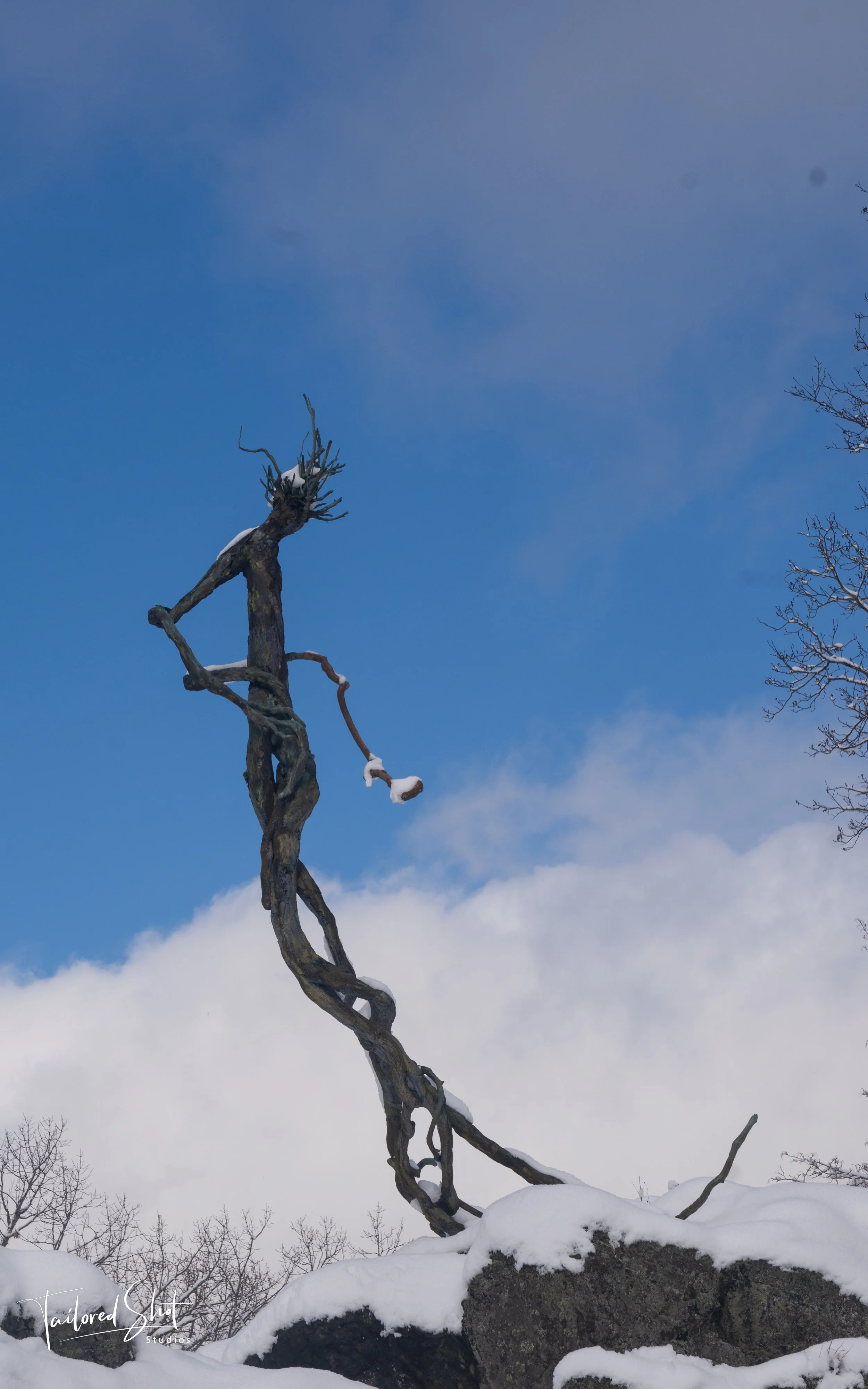 Skyward Reach: The Muse