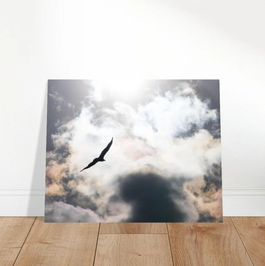 Screenshot 2026-04-07 122530.jpg