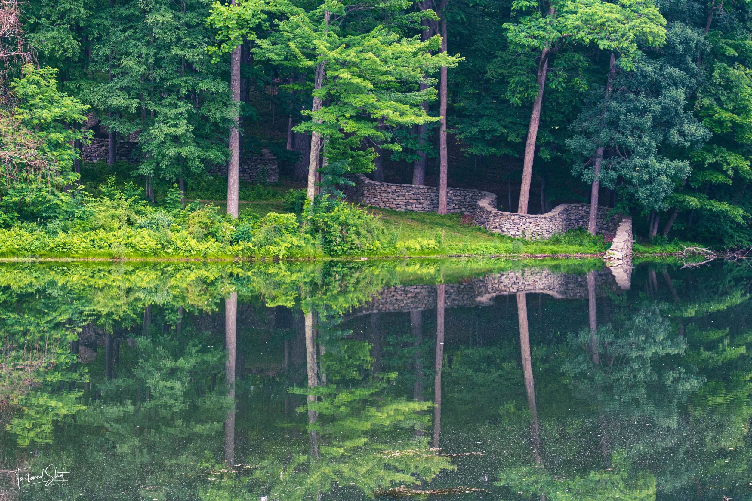 Sculpture Park Series