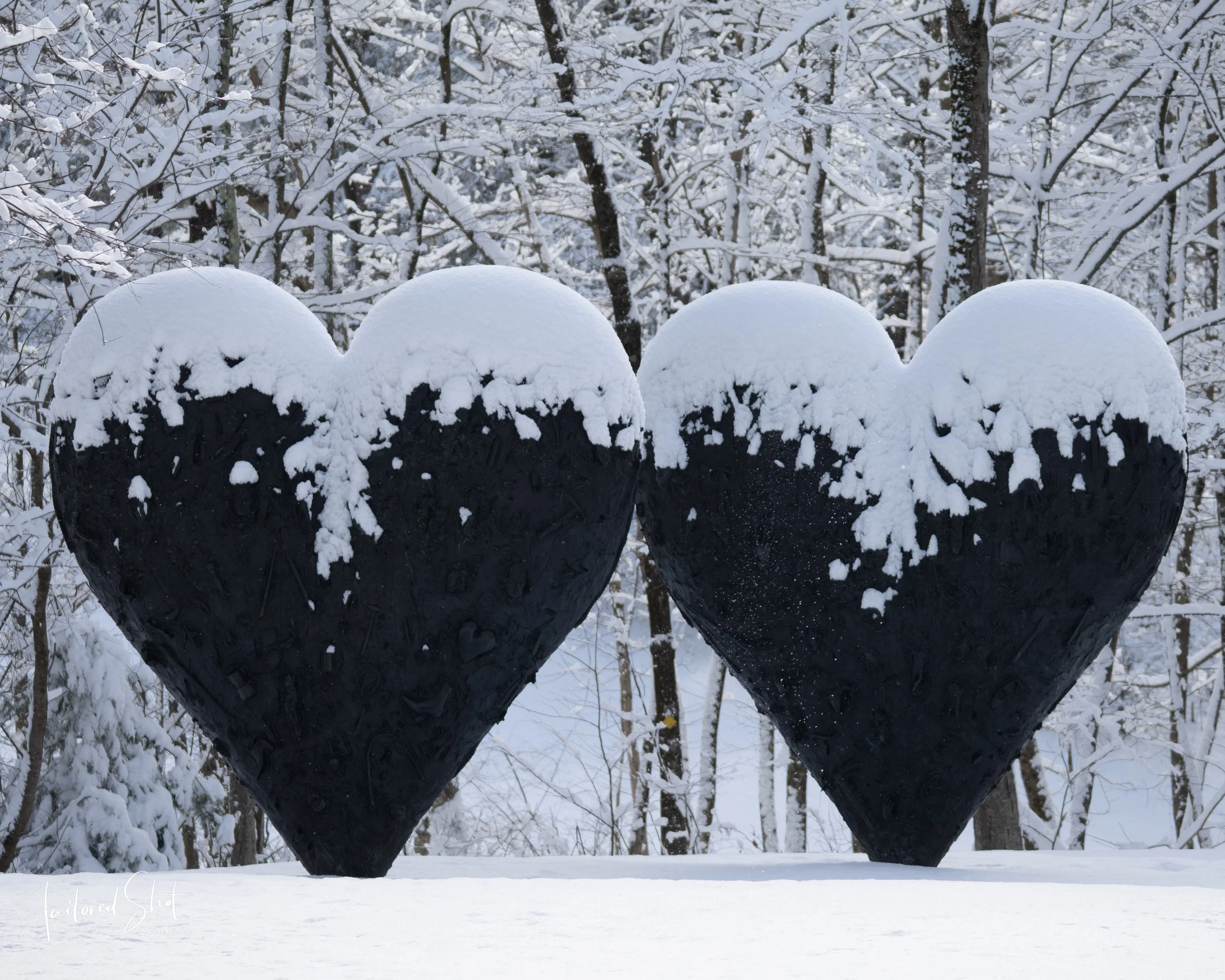Winter Hearts #1