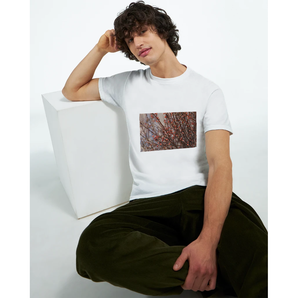 Desert Delicates: 5x7 Print, T-Shirt or Greeting Card Pack