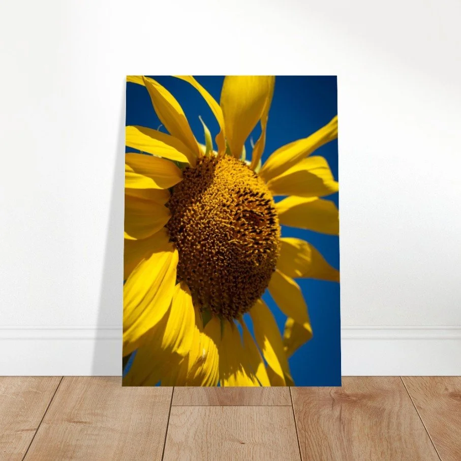 Screenshot 2026-04-07 145818.jpg