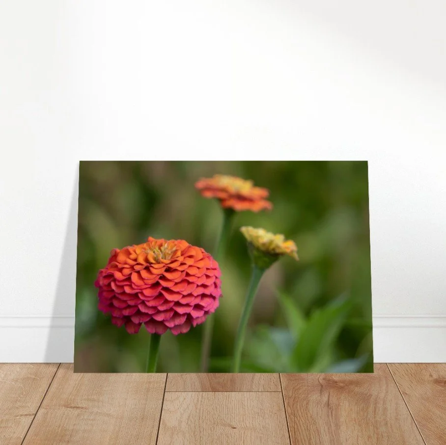 Screenshot 2026-04-07 150658.jpg