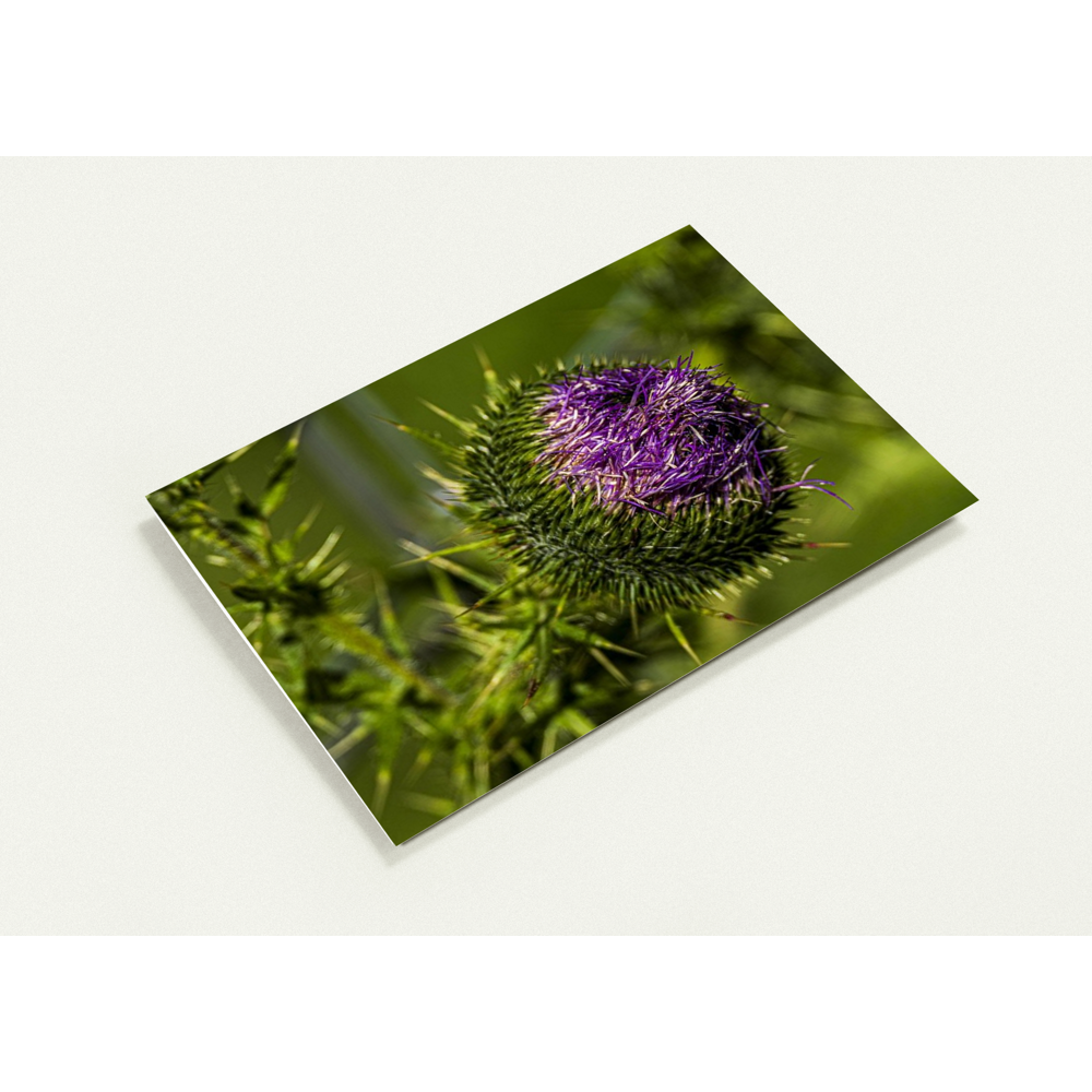 d8357517-31d9-466b-855d-902da29f6940.png