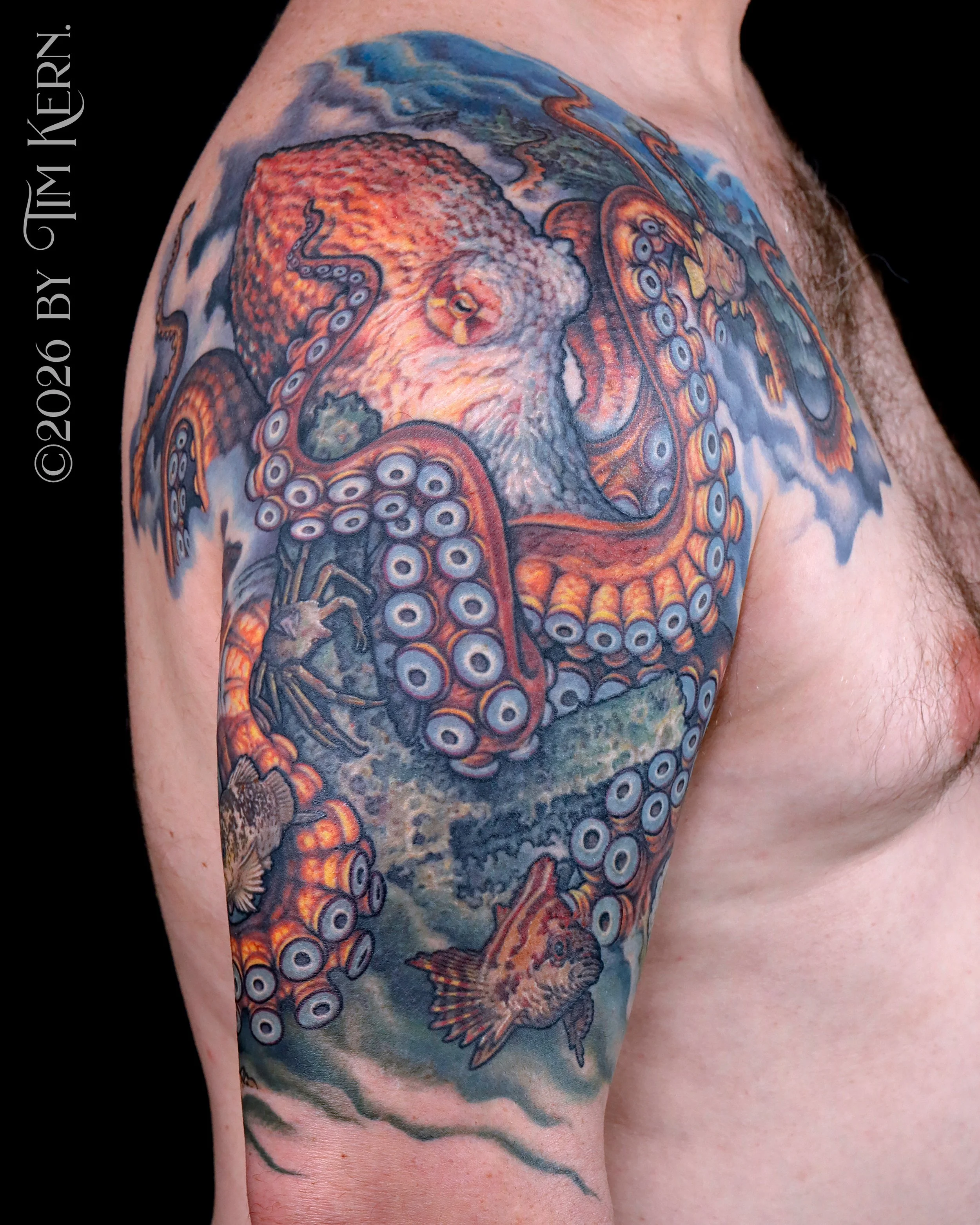Pacific-Octopus-Coverup-1.jpg