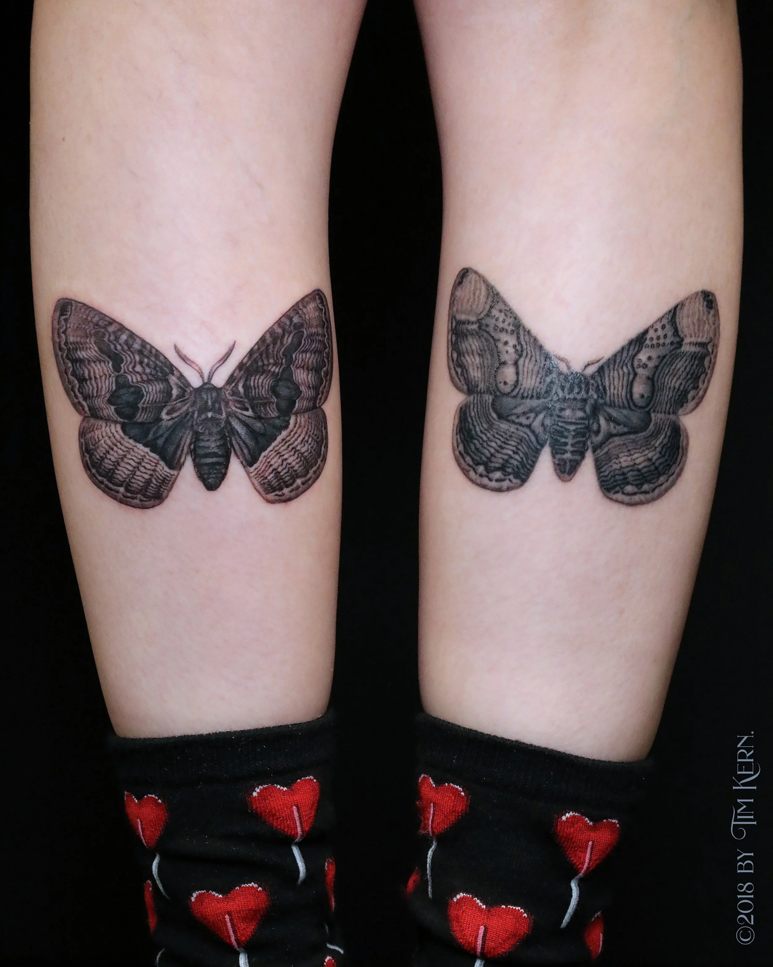 Black-Brahmea-Moth-Tattoo.jpg