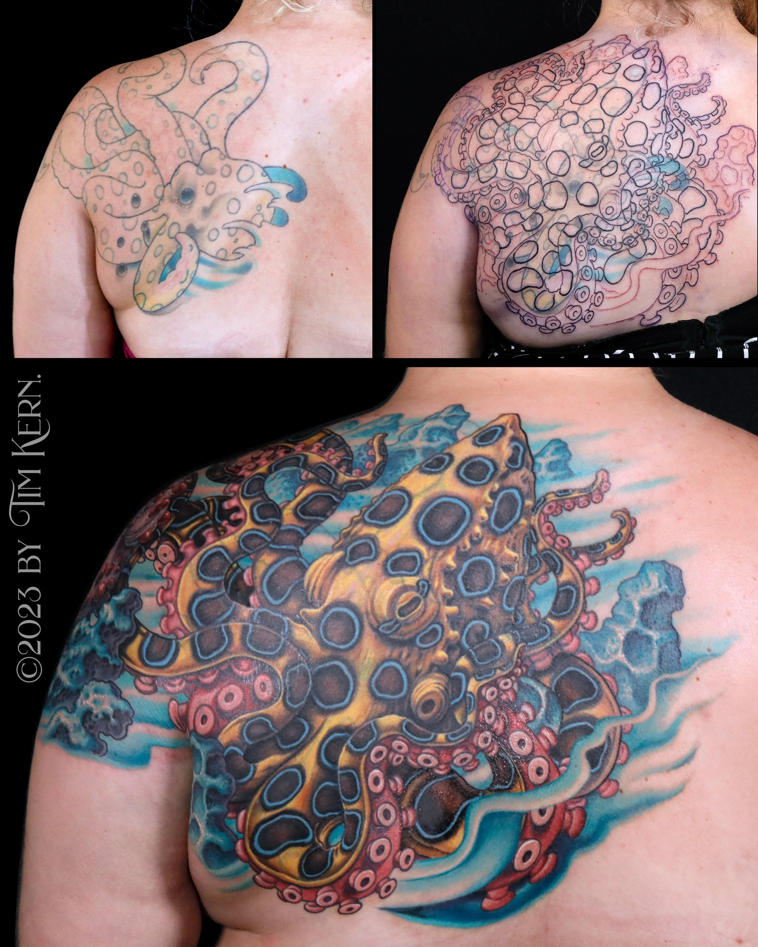 BlueRingedCoverupNew.jpg