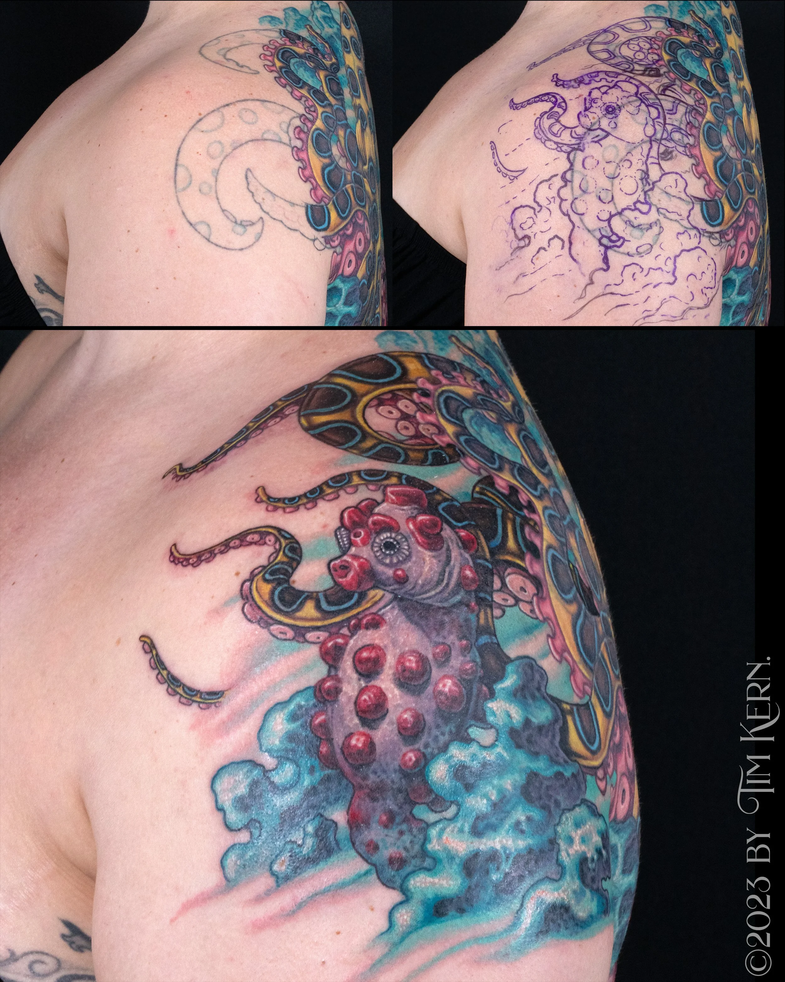 BlueRingedCoverUp2.jpg
