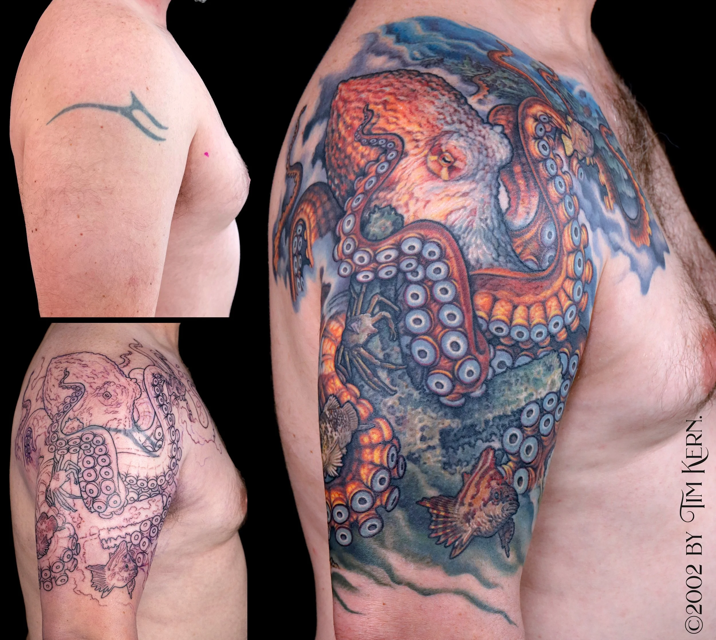 GiantPacificOctopusCoverup.jpg