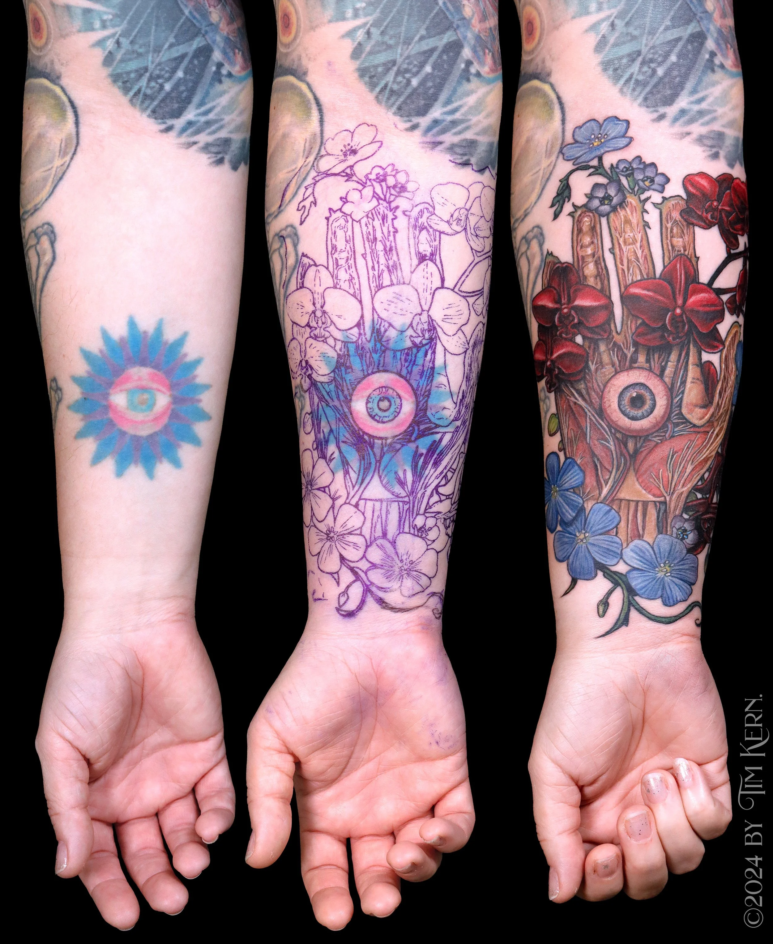 AnatomicalHandCover.jpg