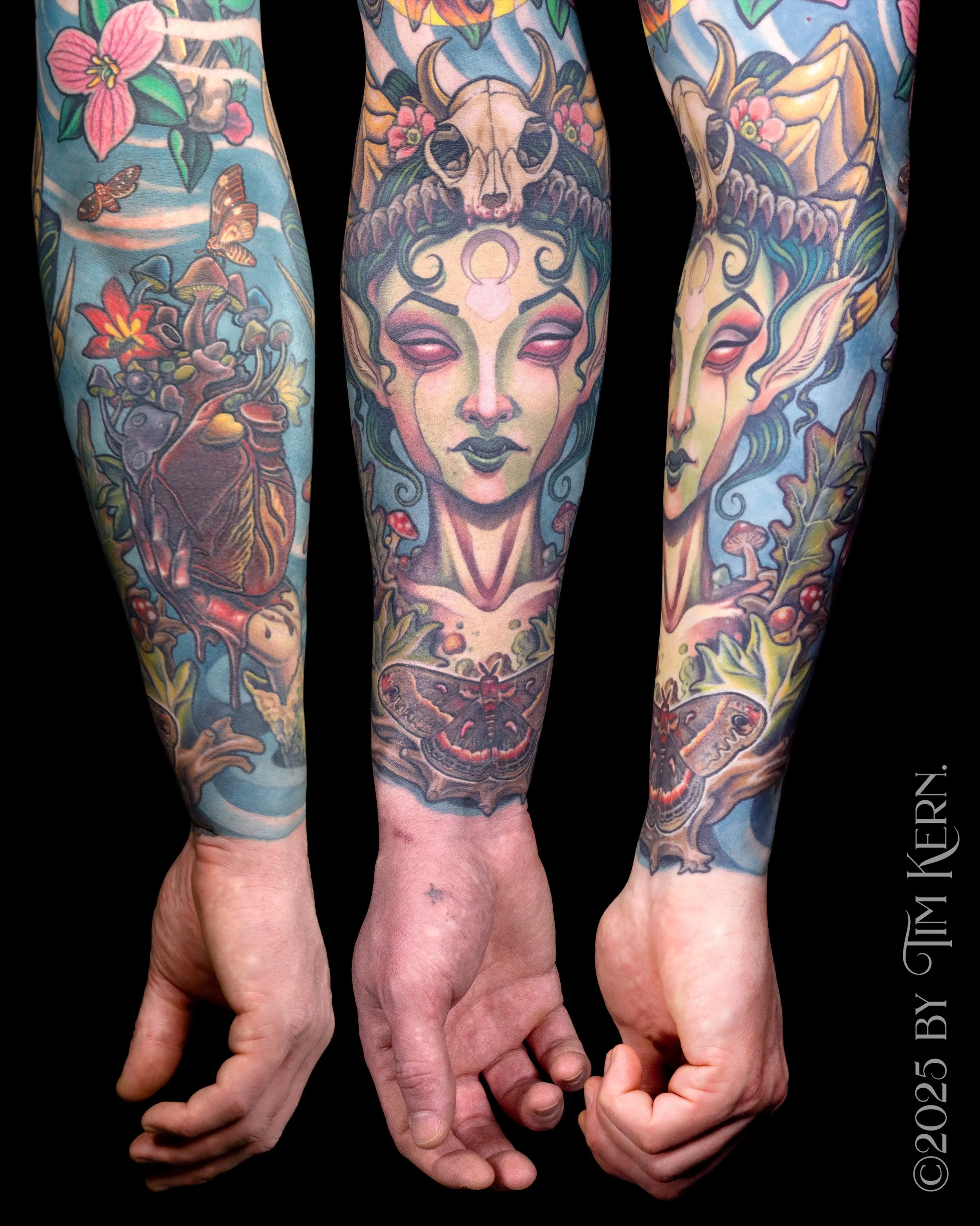 FaunForearm.jpg